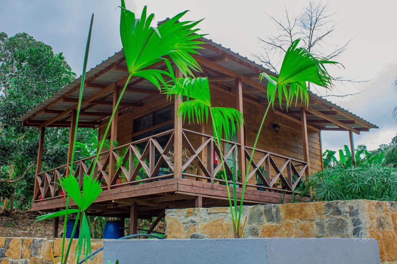 Eden Valley Ecolodge&Farming Madalena Exterior foto
