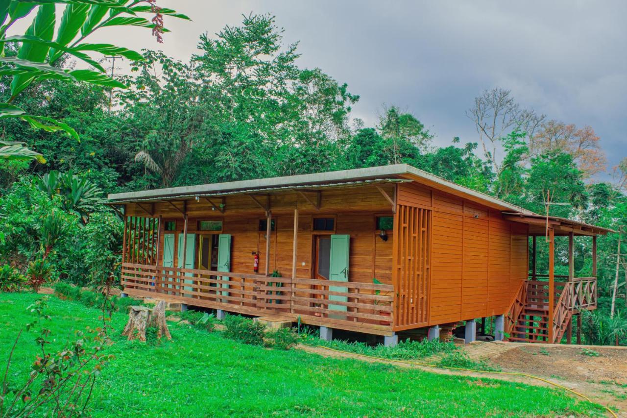 Eden Valley Ecolodge&Farming Madalena Exterior foto