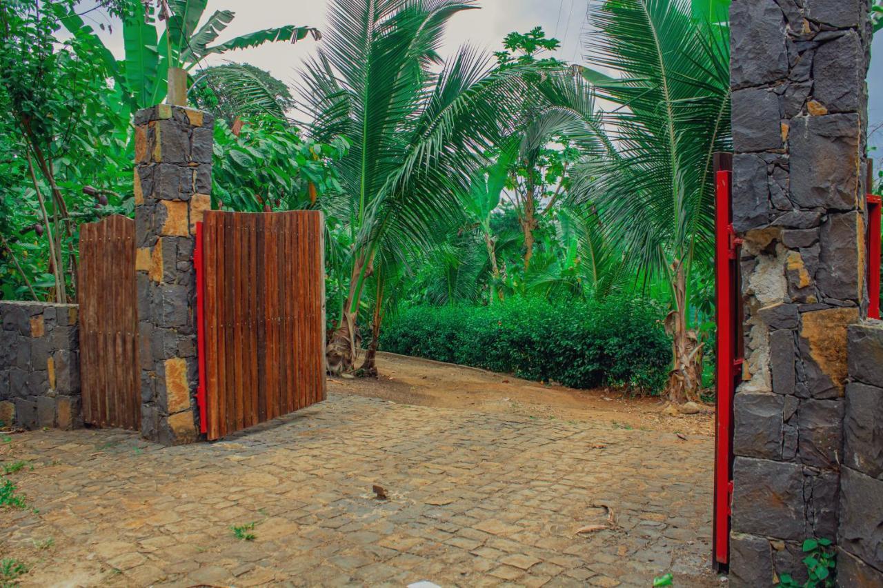 Eden Valley Ecolodge&Farming Madalena Exterior foto