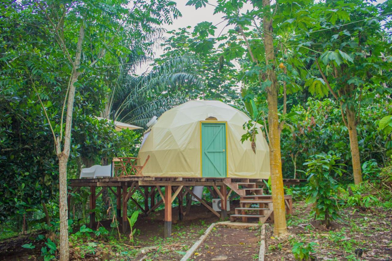 Eden Valley Ecolodge&Farming Madalena Exterior foto