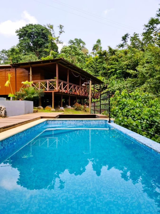 Eden Valley Ecolodge&Farming Madalena Exterior foto