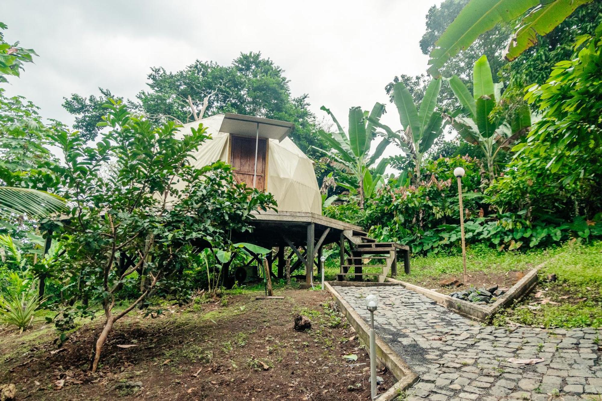 Eden Valley Ecolodge&Farming Madalena Exterior foto